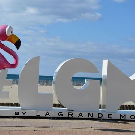 Superbe Studio Au Calme A 8Mn De La Plage Ла Гранде-Моте Екстериор снимка